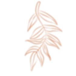 Untitled design (8).png