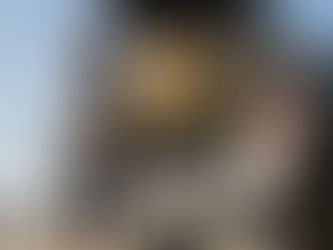 ذا بيرك المتنقل بالطاقة الشمسية