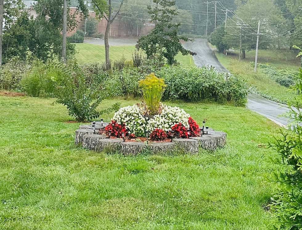 flower bed