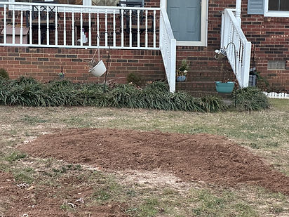 Premium stump grinding in Shelby NC
