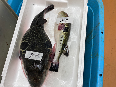 臨時休業のお知らせ