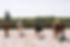cameron_ingalls-roseshellsroundup-0215.jpg