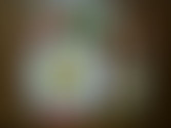 新メニュー♪♪♪キノコのスパゲティ