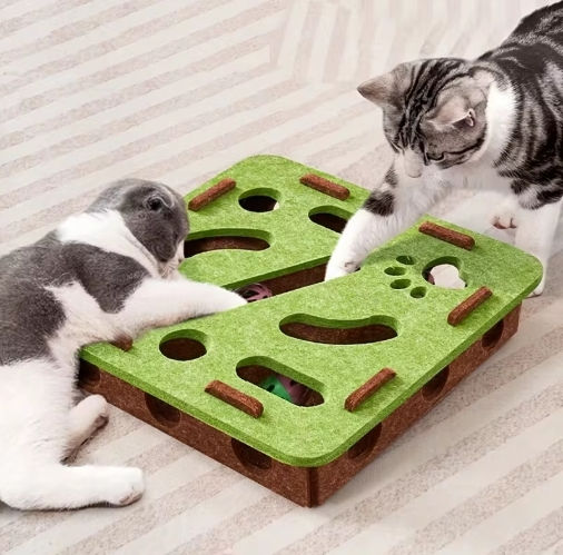 Thumbnail: Playful Cat Toy Box
