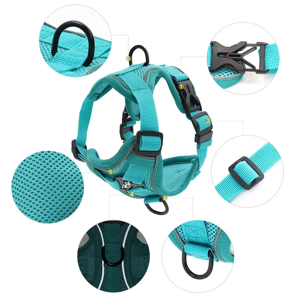 Thumbnail: Reflective Harness and Leash Set