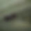 Thumbnail: Designed it down to the last detail