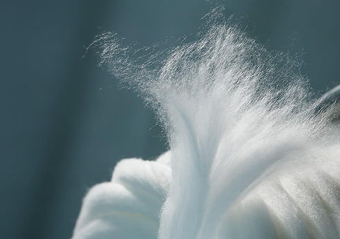 Exquisite delicate TENCEL™ lyocell fibres