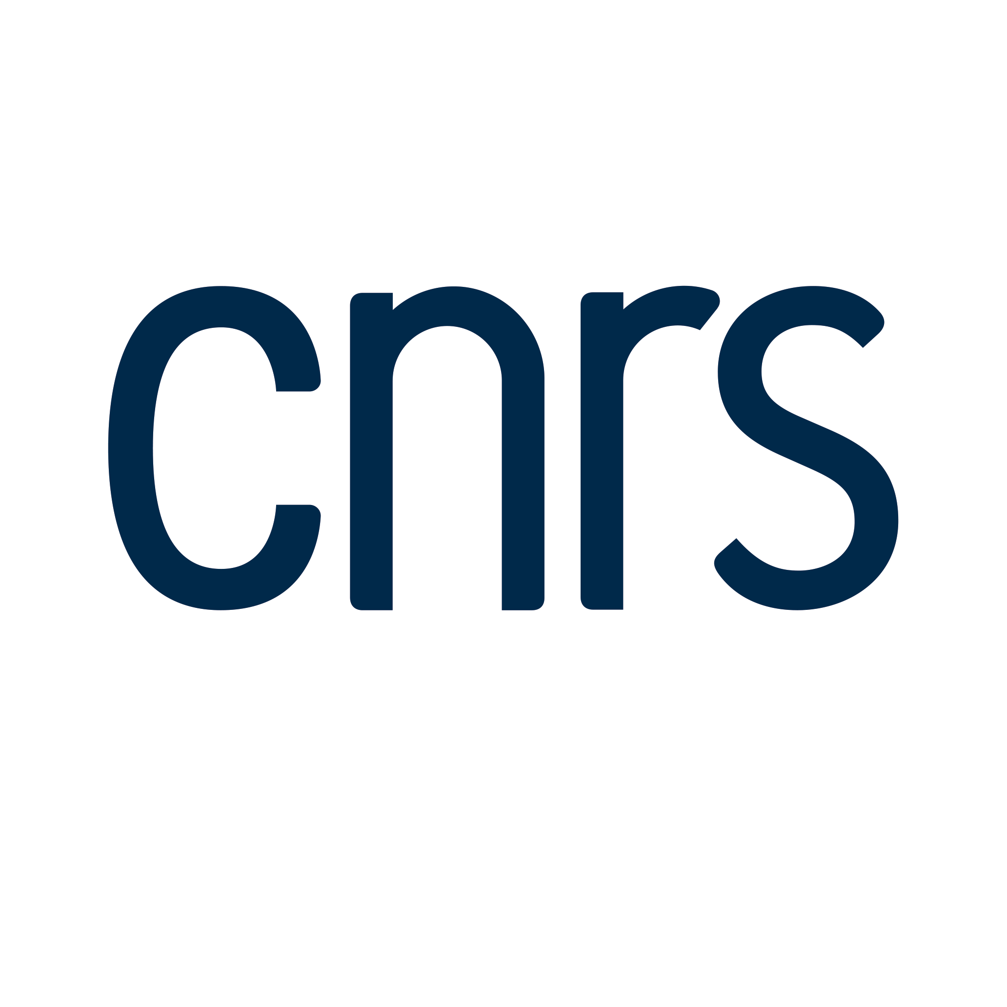 Logo CNRS 
