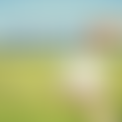 Mon Kit Énergie - Prime à l’autoconsommation solaire 2025 : montant, conditions et démarches