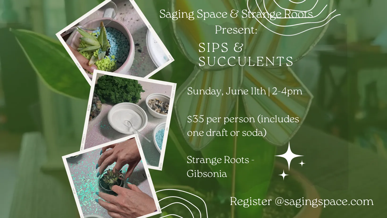 Sips & Succulents