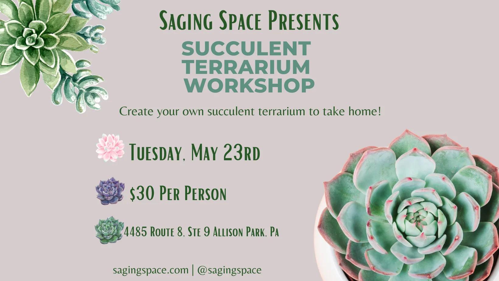 Succulent Terrarium Workshop