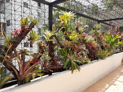 Jardinera de Terraza