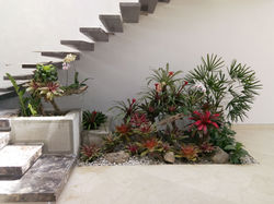 Jardin Interior