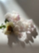 IMG_5921.jpeg