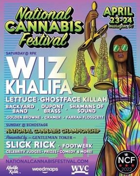 NCFestival.jpeg