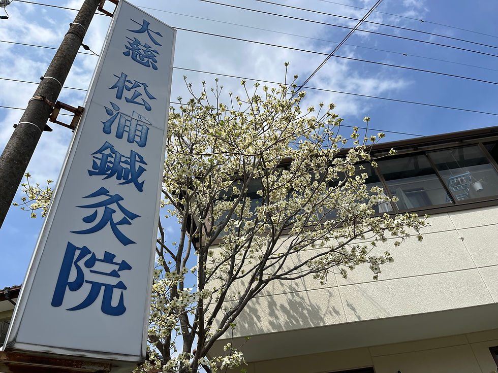 大慈松浦鍼灸院