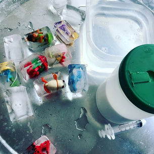 Juguetes Congelados
