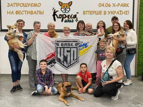 "Коргія 2023": річний запас милоти та пухнастих цуценят