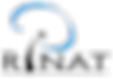 rinat.png