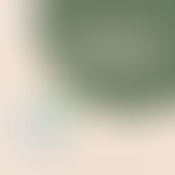 Médaille EcoVadis : quels apports positifs pour une entreprise ?