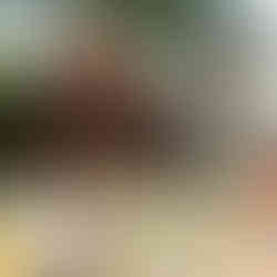 FUNtastic Day 2024 - SDH Daan Mogot