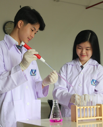 About Student Profile SDH