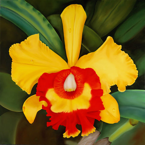 Ora Sorensen Yellow Cattleya.jpeg