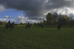 14902742_1179690538765437_5116002481573611221_o