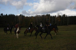 14918894_1179690668765424_7335413739526210435_o