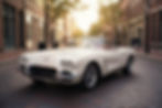cherry mockup 1.jpg