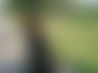 A Letter to the Girls Who Didn't Win