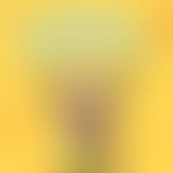 Happy Wild Wednesday 🎉💛🐫🍹🙌 