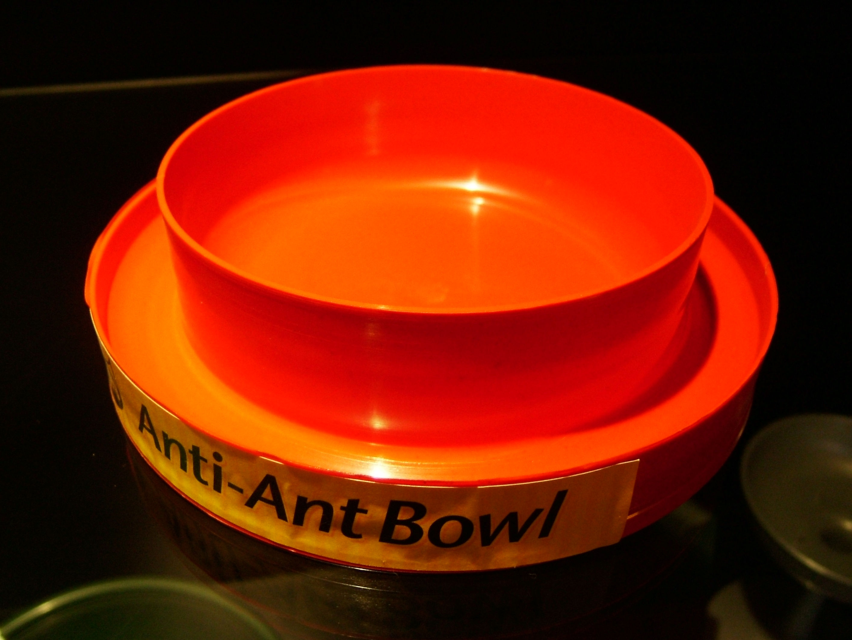 No ant bowl