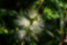AdobeStock_4525900.jpeg