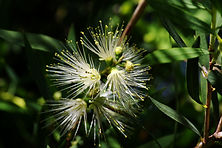 AdobeStock_4525900.jpeg