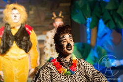 BAPACasting Madagascar Jr 3297-2