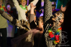 BAPACasting Madagascar Jr 3683-2