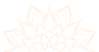m5_edited_edited.png