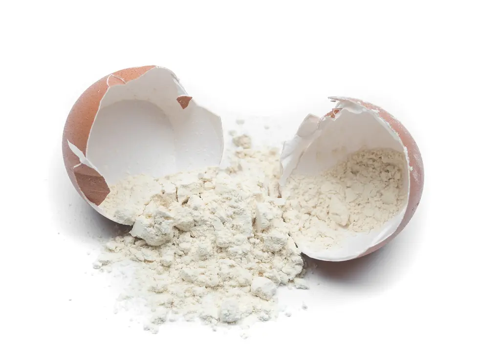 egg powder albumen.webp