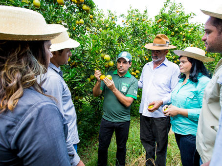 Sindicato Rural já mobiliza alunos para cursos de 2019