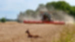 DJI_20260707152916_0368_D-2.jpg