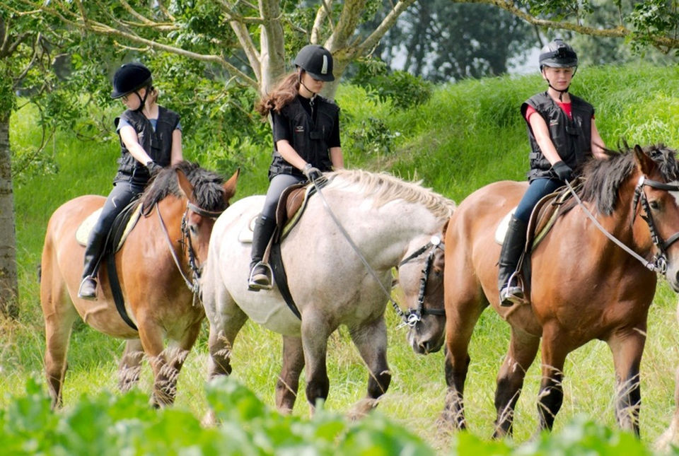 Gasten op buitenrit