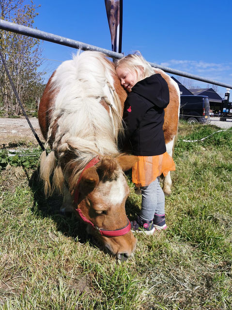 Meisje met een pony