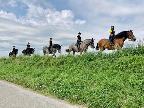Mensen op buitenrit