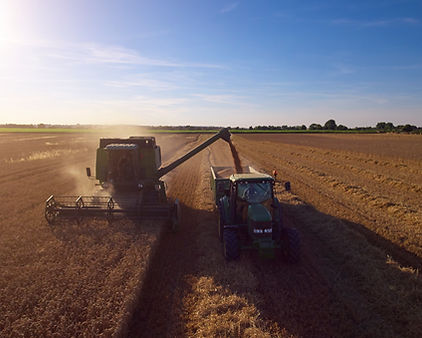 aerial-view-as-tractor-collects-wheat-fr