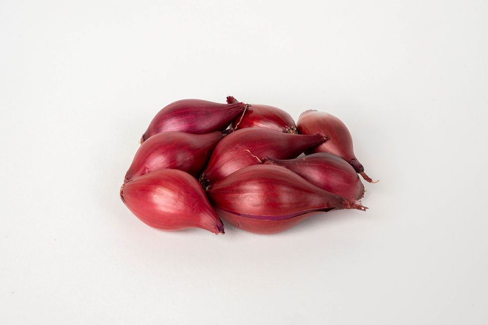Image of an onion.