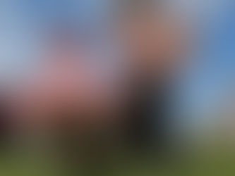 Tenemos fiestas patrias en pandemia, pero se pasa bien igual ¿o no?