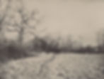 Rowan Collinson_Meadow Path_Natural World