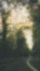 DSC05108.jpg