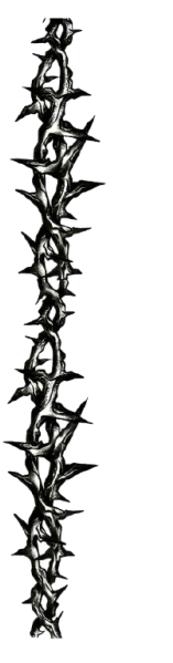 38f6b186edb8a48cce9ea795f7fa8b0d-removeb